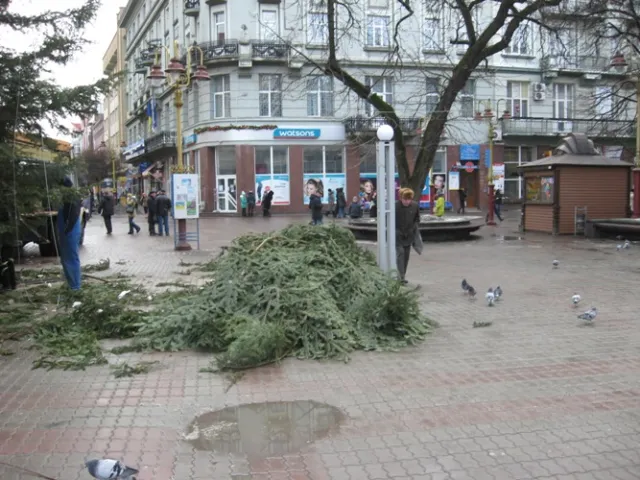 У Франківську комунальники демонтували новорічну ялинку (фото) — фото 2