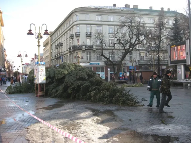 У Франківську комунальники демонтували новорічну ялинку (фото) — фото 4