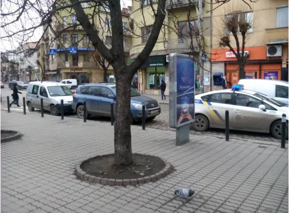 Як франківські поліцейські наводили порядок на вулицях міста (фото) — фото 2