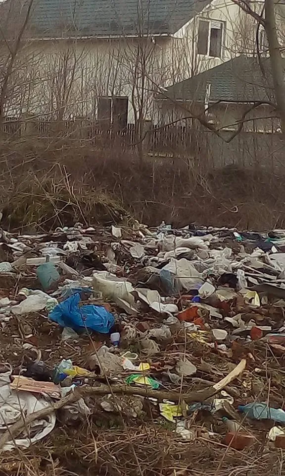 В одному із мікрорайонів Франківська, жінка скаржиться на стихійне сміттєзвалище поблизу її домівки — фото 4
