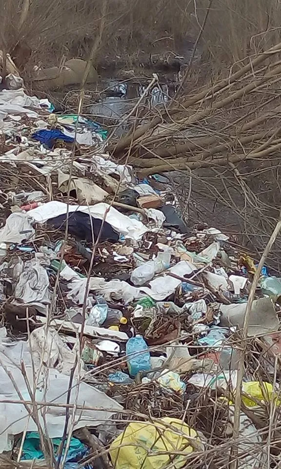 В одному із мікрорайонів Франківська, жінка скаржиться на стихійне сміттєзвалище поблизу її домівки — фото 5