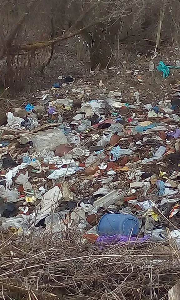 В одному із мікрорайонів Франківська, жінка скаржиться на стихійне сміттєзвалище поблизу її домівки — фото 6