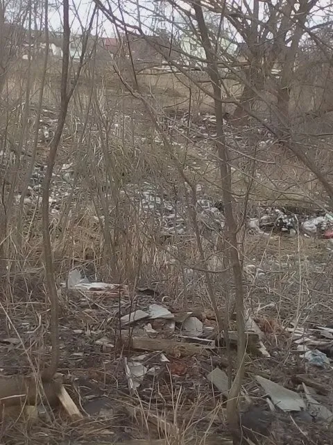 В одному із мікрорайонів Франківська, жінка скаржиться на стихійне сміттєзвалище поблизу її домівки — фото 7