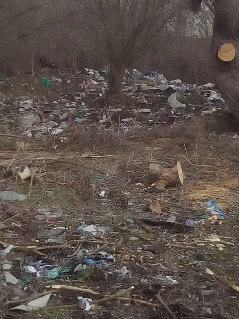В одному із мікрорайонів Франківська, жінка скаржиться на стихійне сміттєзвалище поблизу її домівки — фото 8