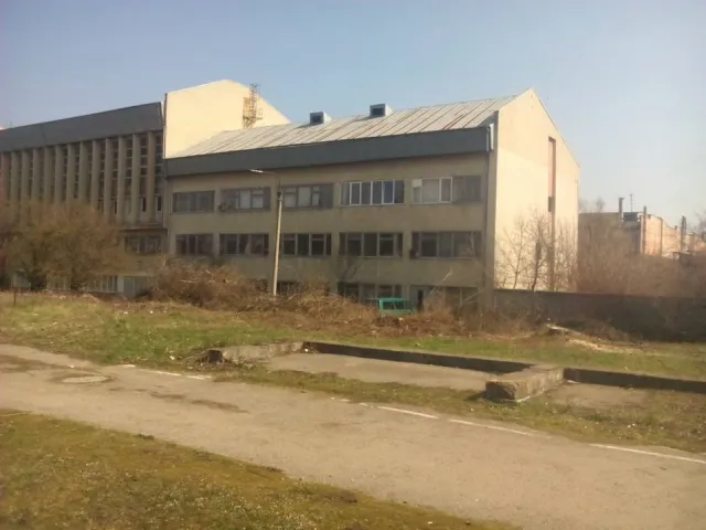 У Франківську невідомі особи варварськи зрізали голубі ялинки — фото 8