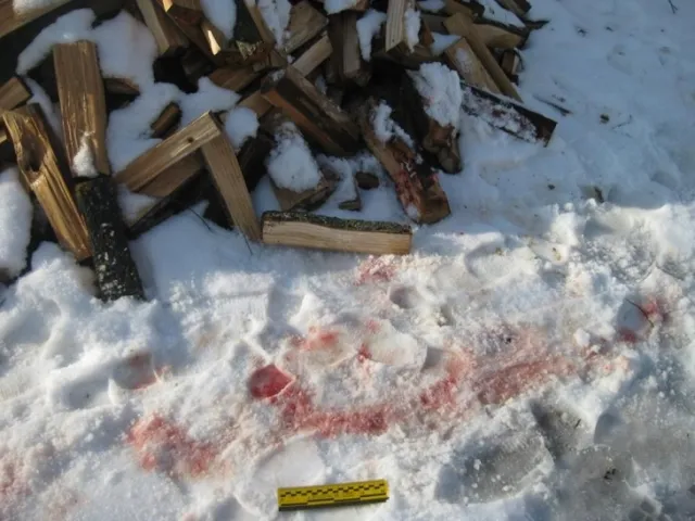 За вбивство 95-річної бабусі внукові загрожує до 15 років тюрми — фото 2