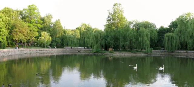 Що варто побачити в Івано-Франківську? — фото 4