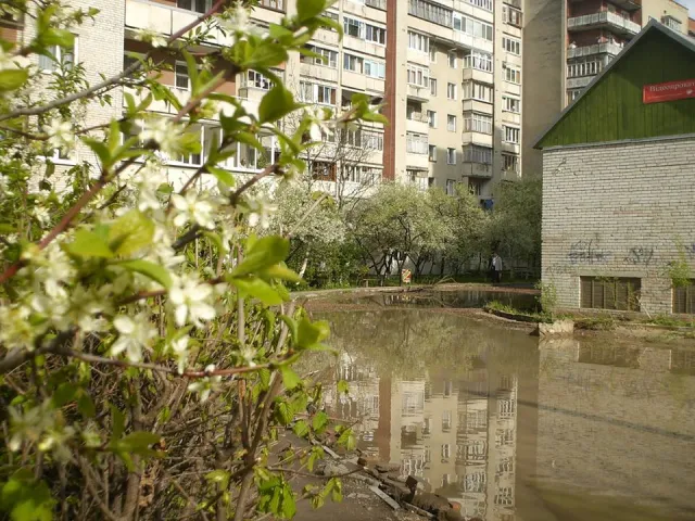 «Венеція на Пасічній», або наслідки весняного дощу — фото 11