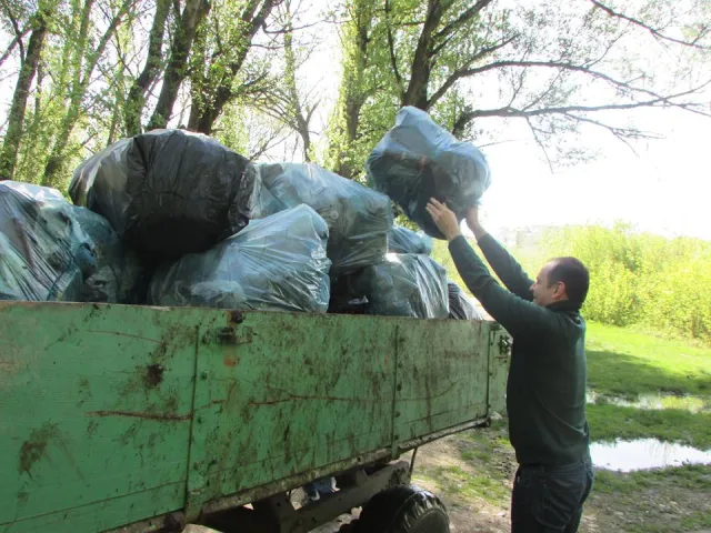 Толока на березі Бистриці Солотвинської разом із міським головою — фото 3