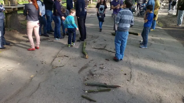 Службове недбальство: у парку Шевченка на голову жінці впала гілка з дерева, жінка в лікарні — фото 1