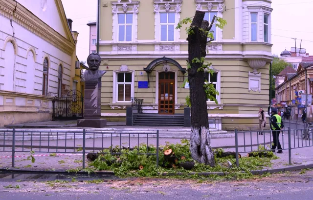 Мешканці міста обурені зрізанням каштанів у центрі Франківська — фото 5