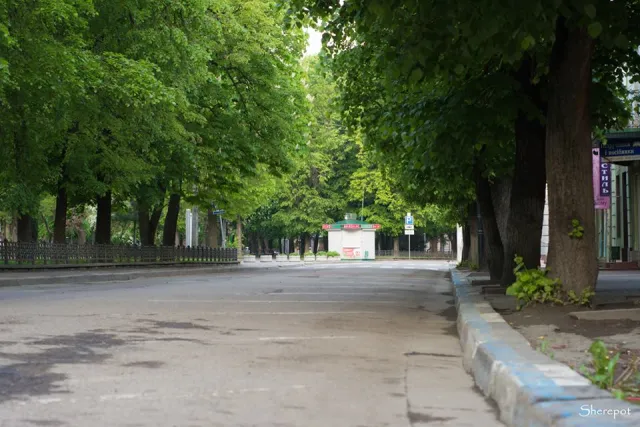 «Таким Франківськом хочеться гуляти», - фотографи показали безлюдні вулиці міста — фото 36