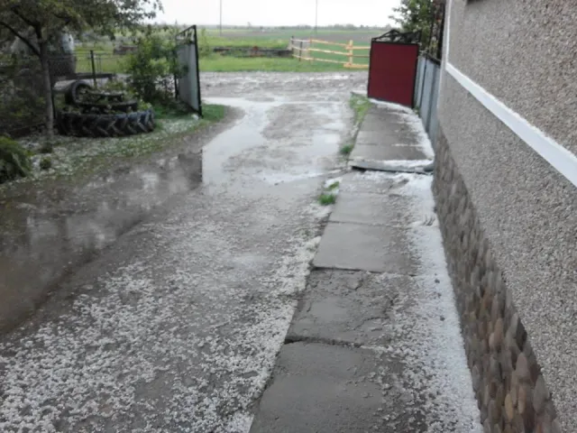 Одне із сіл на Прикарпатті засипало градом — фото 4
