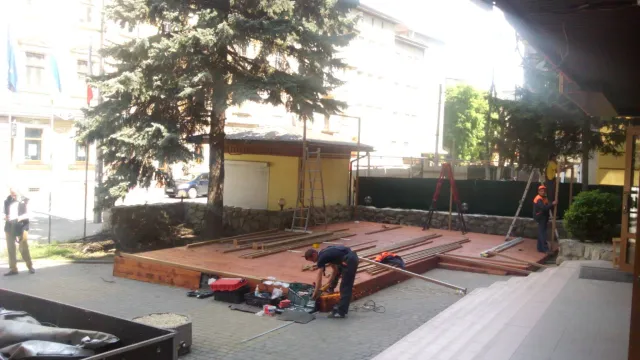 Біля кафе-клубу у центрі Франківська позрізали гілки з голубих ялинок — фото 1