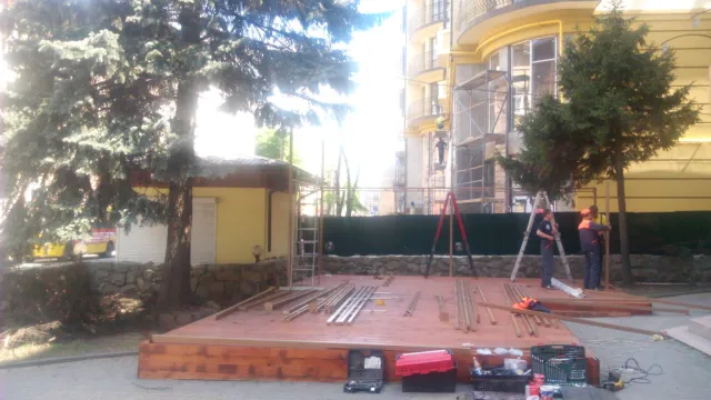 Біля кафе-клубу у центрі Франківська позрізали гілки з голубих ялинок — фото 2