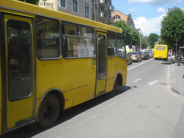 У Франківську на Новгородській змінено схему руху та з'явилась нова розмітка зі смугами для автобусів, автівок та велосипедистів. Водії старано дотримуються ПДР — фото 6