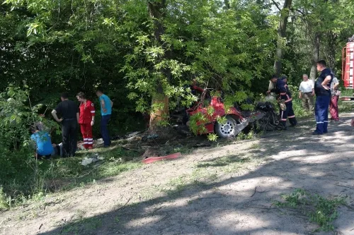 20-річний водій перевищив швидкість на повороті та врізався в дерево. Юнак помер на місці — фото 1