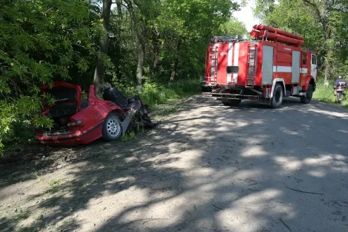 20-річний водій перевищив швидкість на повороті та врізався в дерево. Юнак помер на місці — фото 3