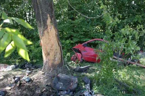 20-річний водій перевищив швидкість на повороті та врізався в дерево. Юнак помер на місці — фото 5