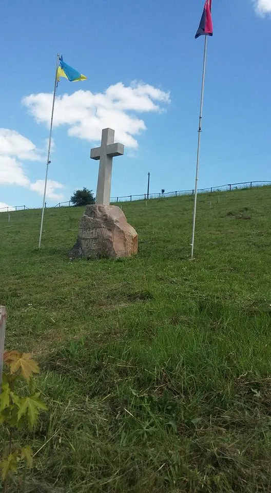 В одному із сіл Прикарпаття селяни полінувались скосити траву  у сквері “Небесної сотні” — фото 1