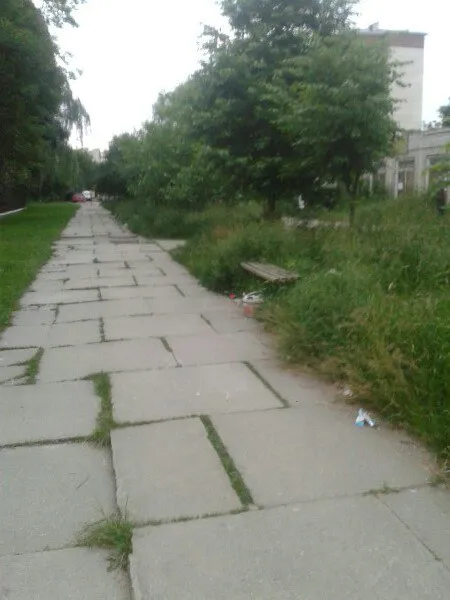 Поламані лавки та купи сміття: алея біля франківського садочку перетворилась на смітник — фото 4