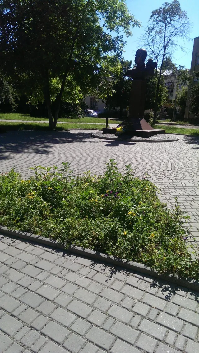 Замість квітів, на франківських клумбах ростуть будяки — фото 2