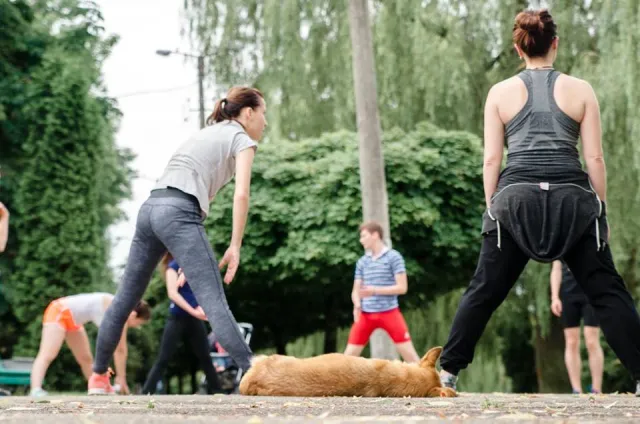 У Івано-Франківську пройшло відкрите бігове тренування в рамках підготовки до Frankivsk Halfmarathon — фото 7