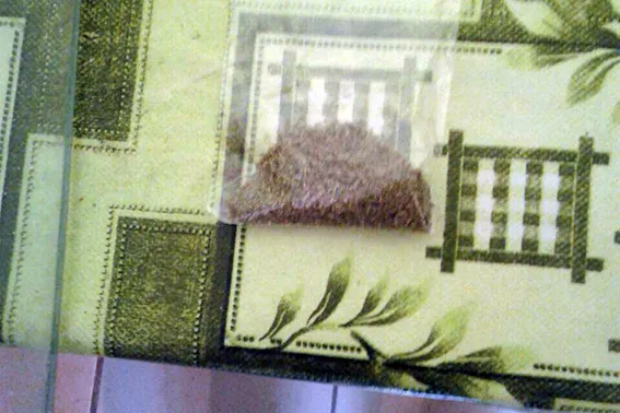 18-річна дівчина намагалась передати продуктову передачу з прихованими у ній наркотичними засобами — фото 1