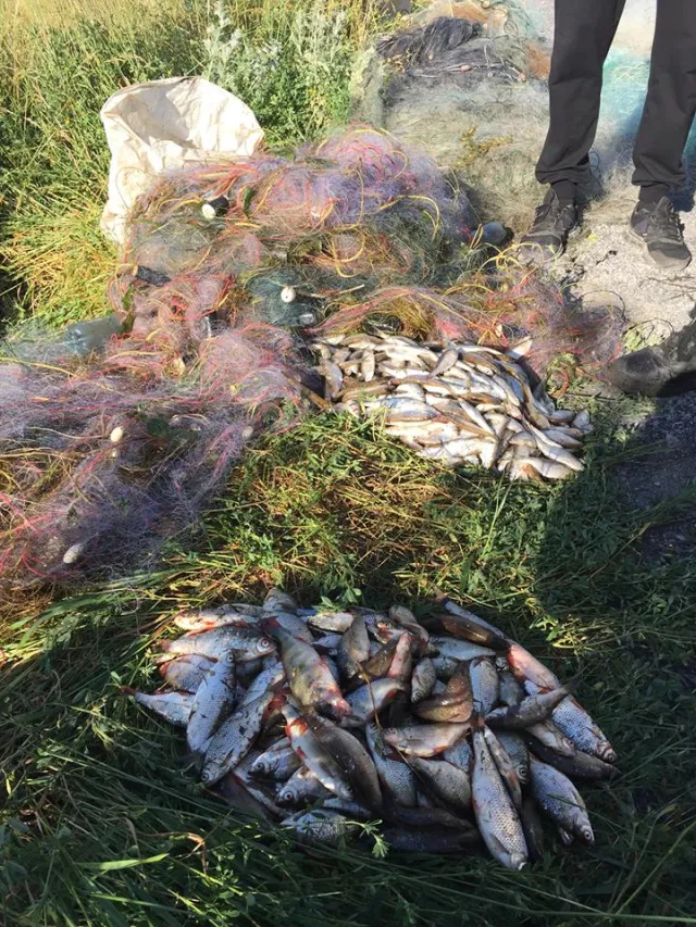 На Бурштинському водосховищі зафіксували масштабне браконьєрство — фото 10