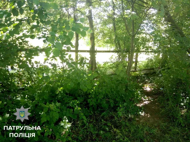 У Івано-Франківську патрульні затримали злодіїв, які намагались вкрасти шкільний паркан — фото 2