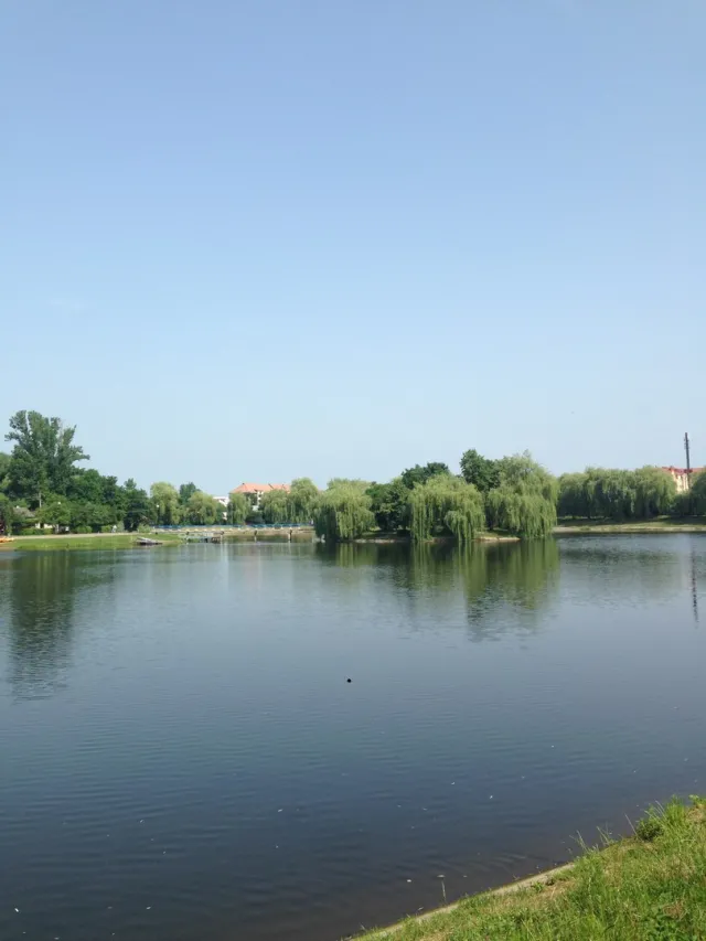 На Прикарпатті величезна риба викинулася на берег — фото 1