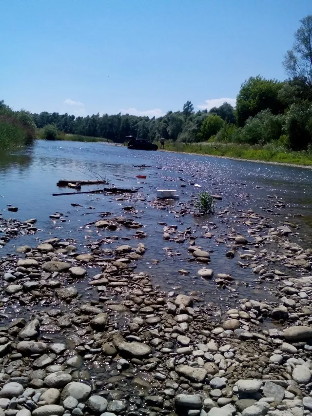 У Івано-Франківську на річці Бистриці водій ледь не втопив свою автівку — фото 1