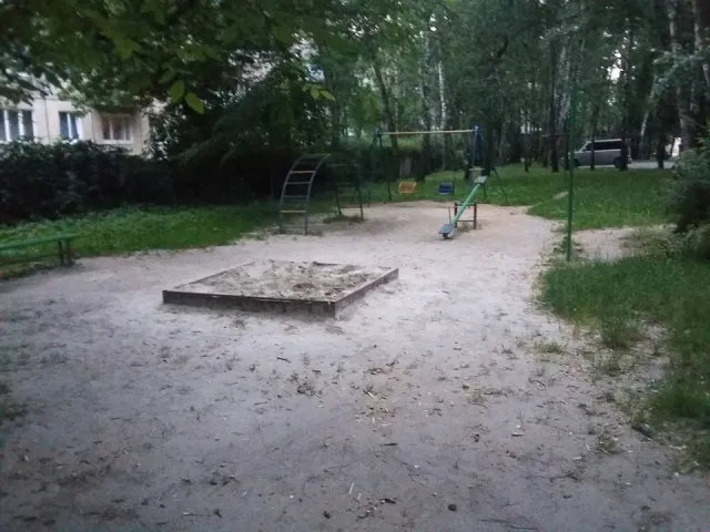 У Франківську пенсіонери закопали у пісочниці труп кота, щоб там більше не грались дітлахи — фото 1
