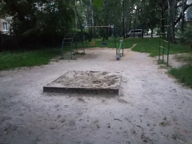 У Франківську пенсіонери закопали у пісочниці труп кота, щоб там більше не грались дітлахи — фото 3