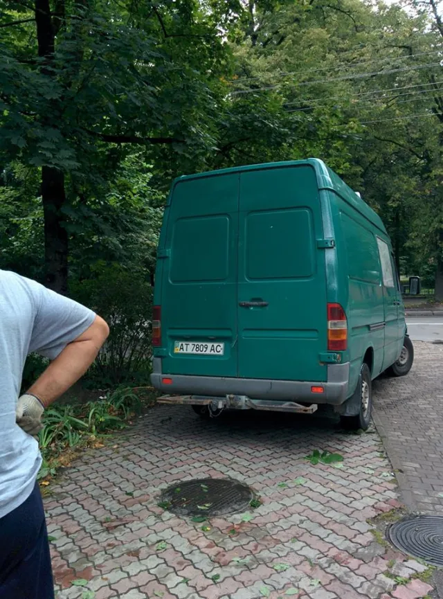 В одному із дворів Івано-Франківська підприємець самовільно повирізував кущі та дерева — фото 1