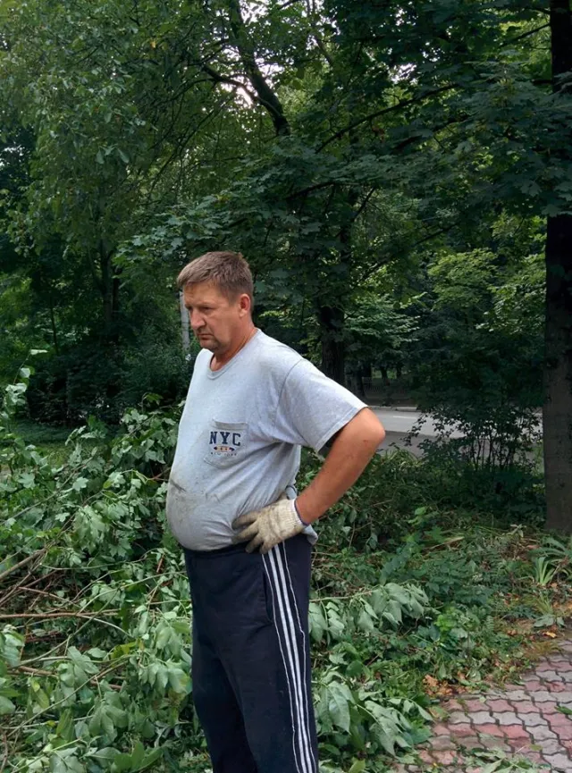 В одному із дворів Івано-Франківська підприємець самовільно повирізував кущі та дерева — фото 2