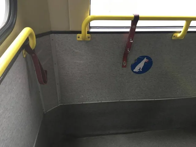 Міський голова Івано-Франківська протестував нові тролейбуси — фото 4