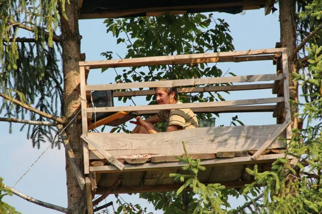 На Прикарпатті з'явився перший "офіс" на смереці — фото 3