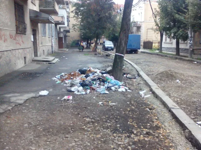 У Івано-Франківську вулицю Гнатюка перетворили на справжній смітник — фото 1