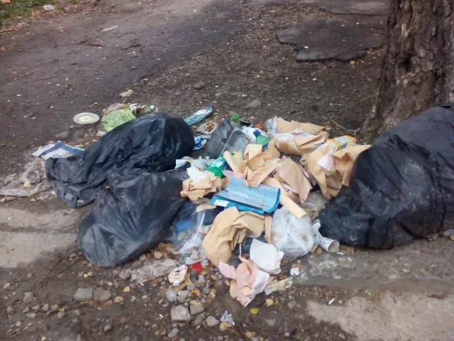 У Івано-Франківську вулицю Гнатюка перетворили на справжній смітник — фото 3