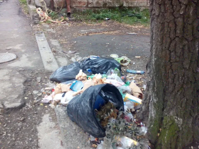 У Івано-Франківську вулицю Гнатюка перетворили на справжній смітник — фото 4