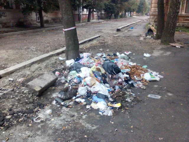 У Івано-Франківську вулицю Гнатюка перетворили на справжній смітник — фото 5