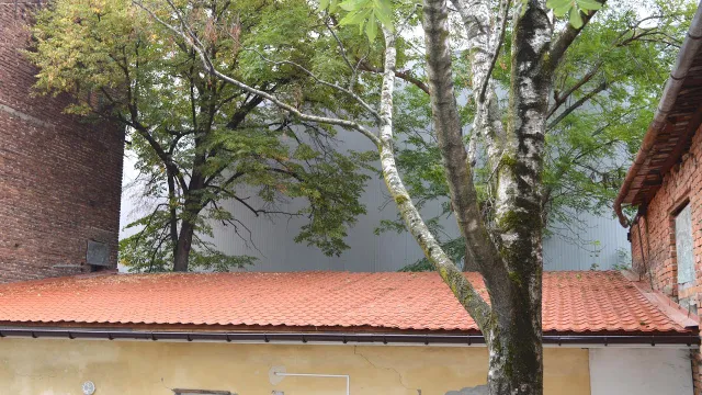 «Сирість, грибок, прогнивша підлога та вбиті меблі», - так виглядає клас в франківській музшколі. В управлінні кажуть, що там триває капремонт — фото 6