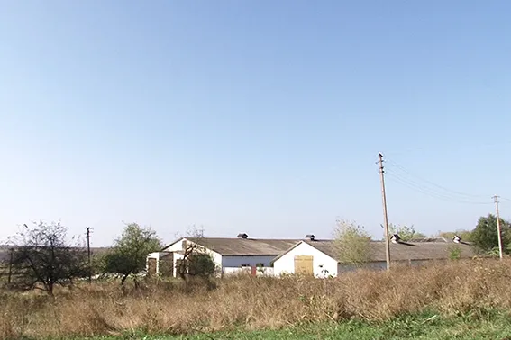 На пташиній фермі вилучили фальсифікованих ліків на мільйони гривень. Тут також масово вирощували марихуану — фото 1