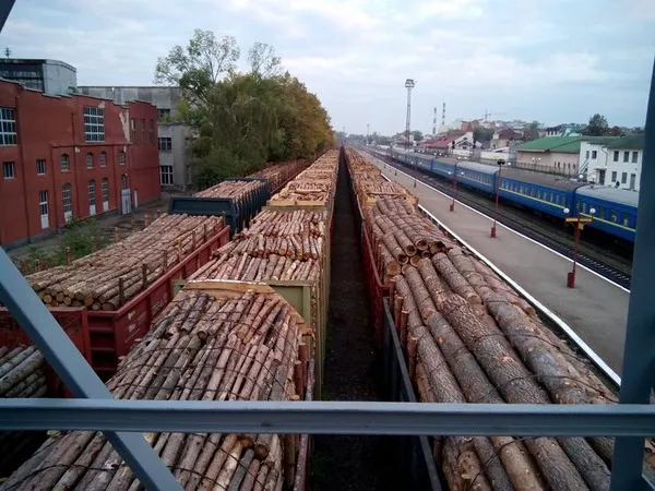 Крадуть наче останній день живуть: на франківському вокзалі зафіксували ешелони з лісом-кругляком — фото 2