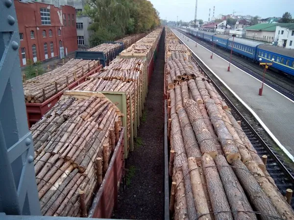 Крадуть наче останній день живуть: на франківському вокзалі зафіксували ешелони з лісом-кругляком — фото 3