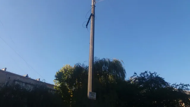 В Івано-Франківську на одній із вулиць дерево обірвало електричні дроти — фото 1