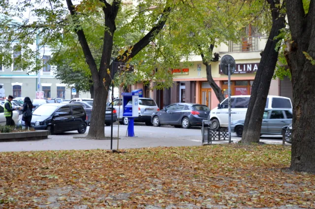 У сквері Руської трійці висадили молоді ясені — фото 1