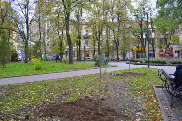 У сквері Руської трійці висадили молоді ясені — фото 2