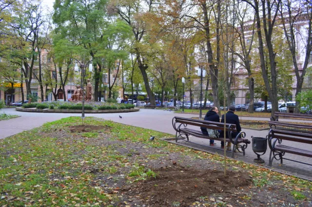 У сквері Руської трійці висадили молоді ясені — фото 3